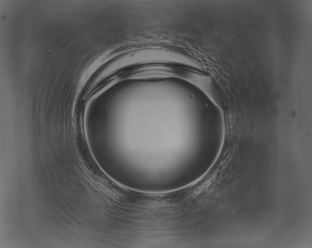 X0000070190246200605301319