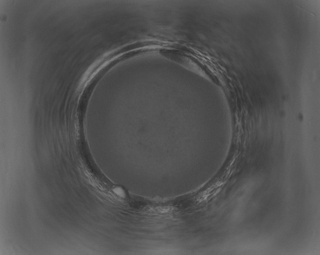 X0000070190247200605301320