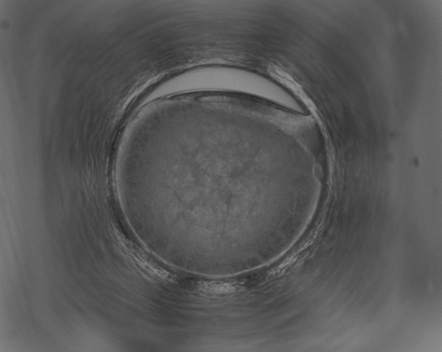 X0000070190249200605301320