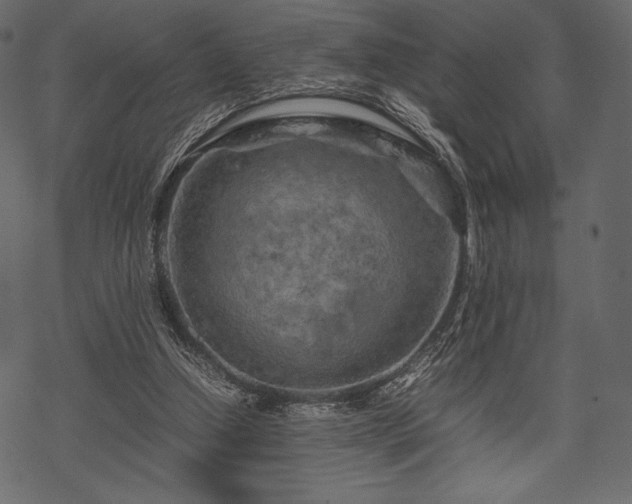 X0000070190250200605301320