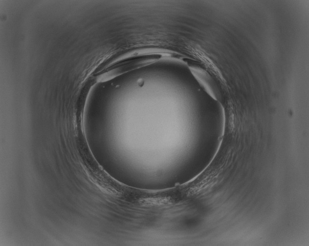 X0000070190251200605301320