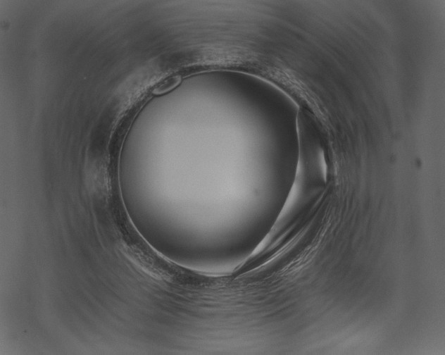 X0000070190252200605301320