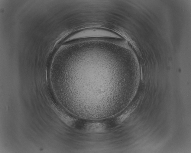 X0000070190253200605301320