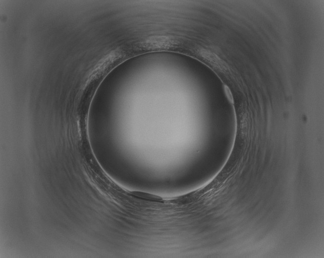 X0000070190254200605301320