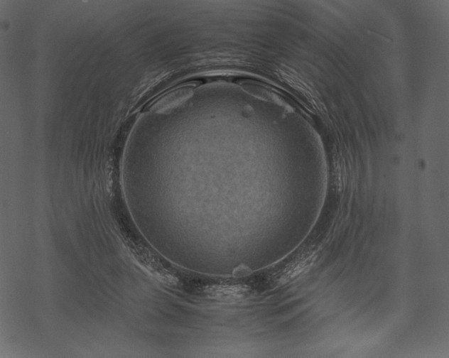 X0000070190255200605301320