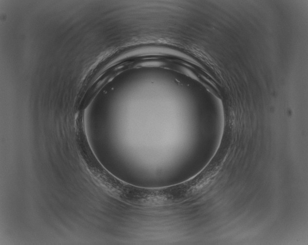 X0000070190256200605301320