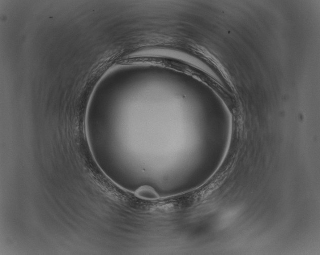 X0000070190257200605301320