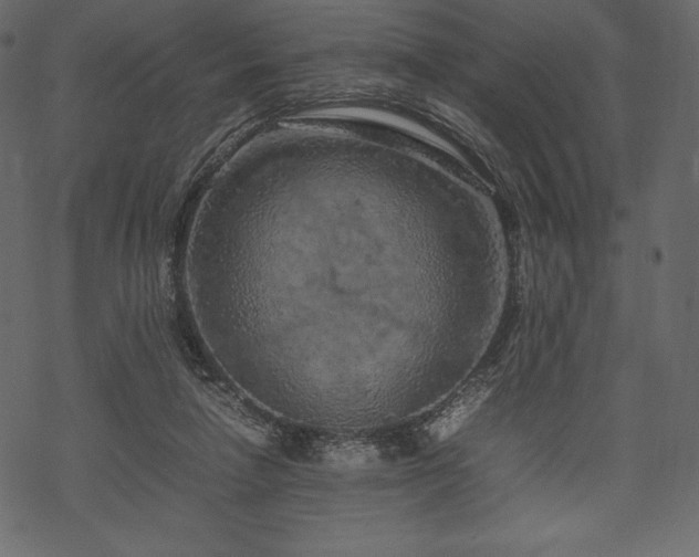 X0000070190258200605301320