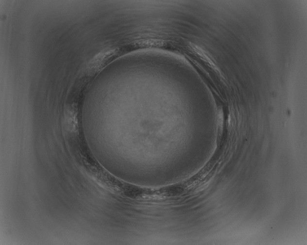 X0000070190259200605301320