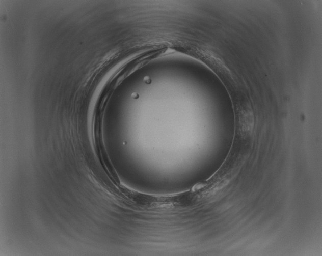 X0000070190260200605301320