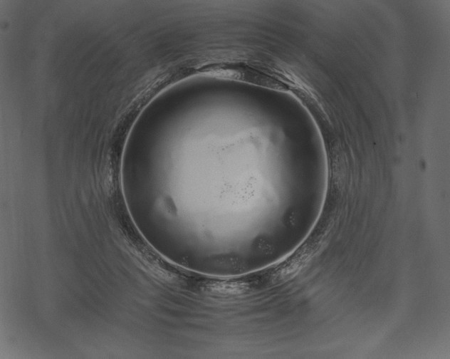 X0000070190261200605301320