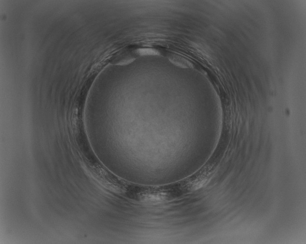 X0000070190263200605301320