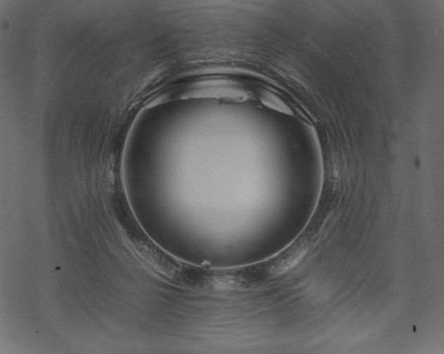 X0000070190264200605301320