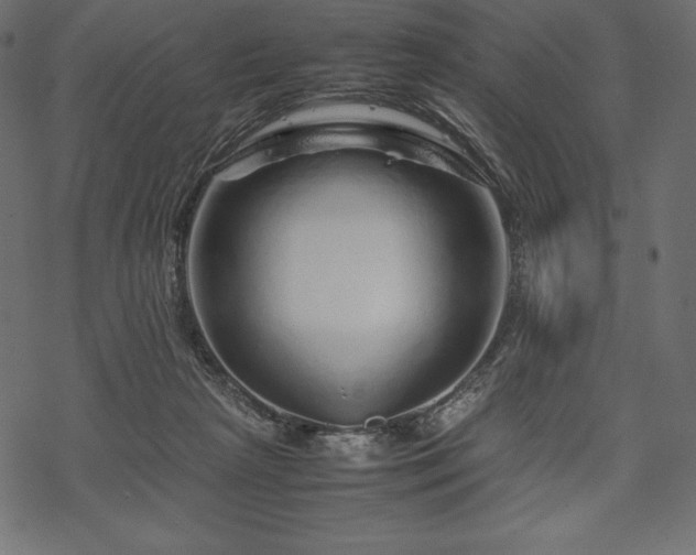 X0000070190265200605301320