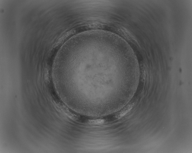 X0000070190266200605301320