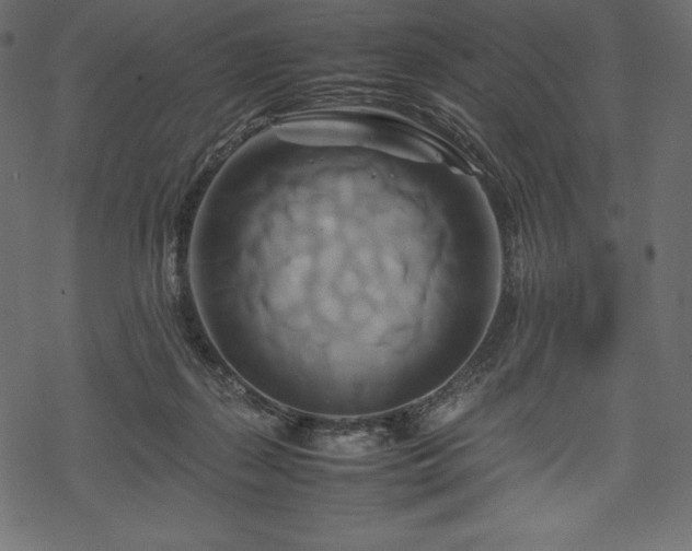 X0000070190267200605301320