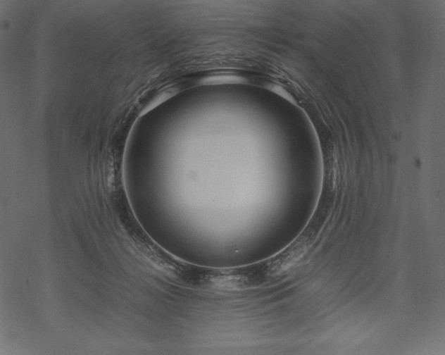 X0000070190268200605301320