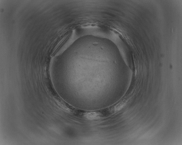 X0000070190269200605301320