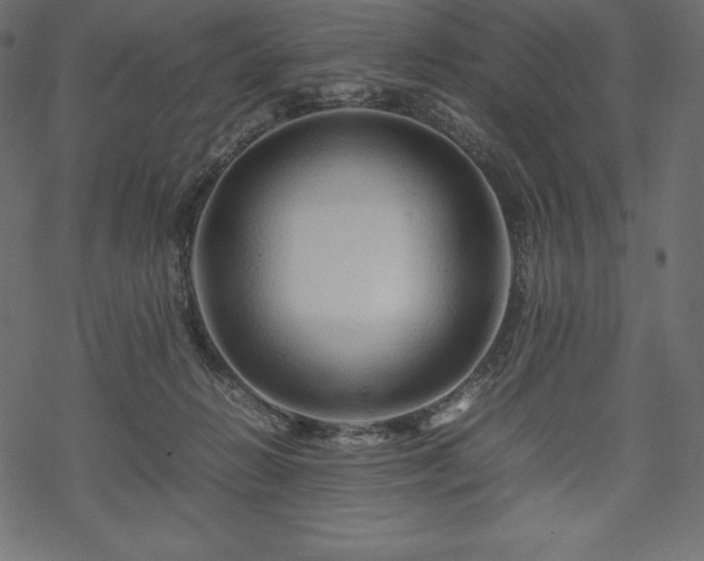 X0000070190270200605301320