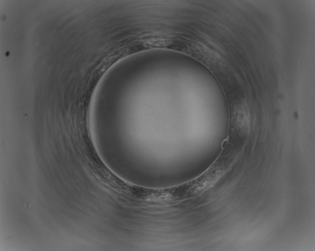 X0000070190271200605301320