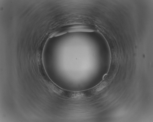 X0000070190274200605301320