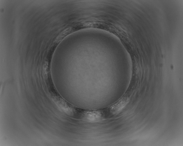 X0000070190275200605301320