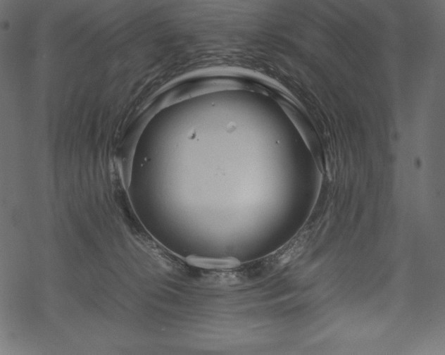 X0000070190276200605301320