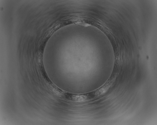 X0000070190277200605301320