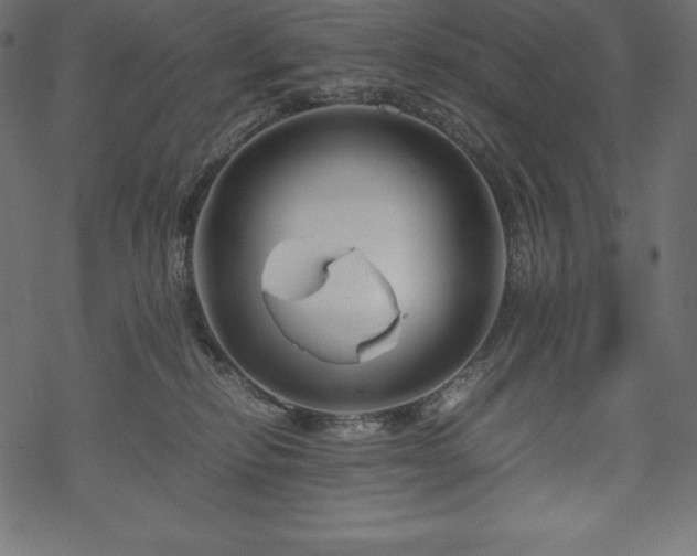 X0000070190278200605301320