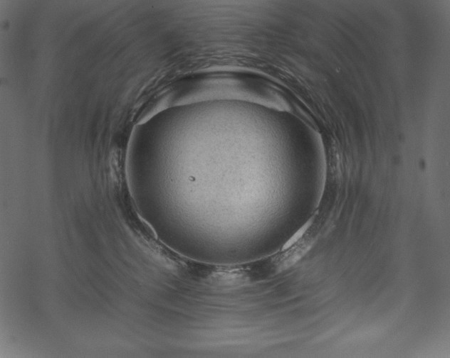 X0000070190280200605301320