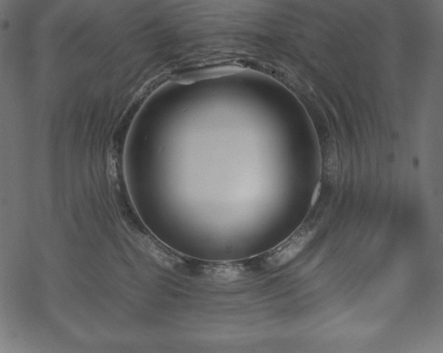 X0000070190282200605301320