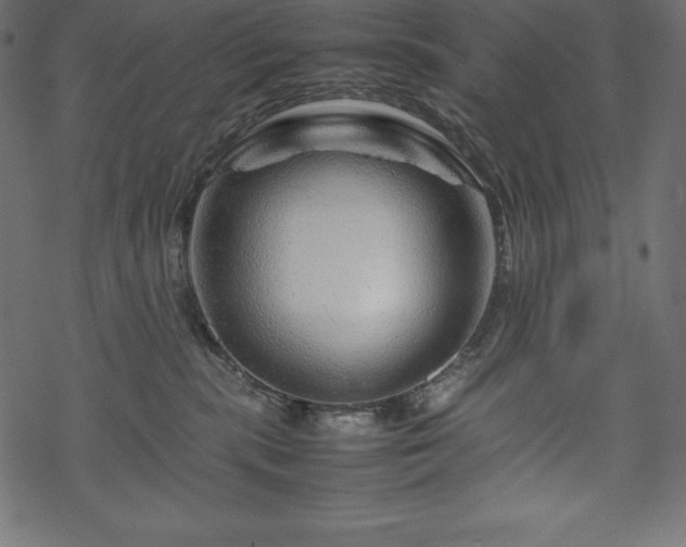 X0000070190283200605301320