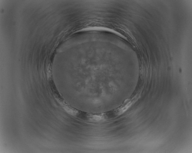 X0000070190285200605301320