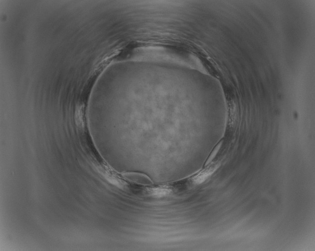 X0000070190286200605301320