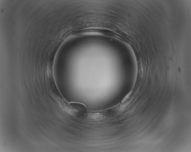 X0000070190287200605301320