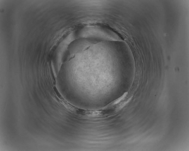 X0000070190288200605301320