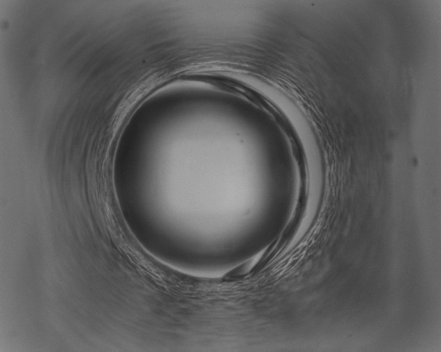 X0000070190289200605301319