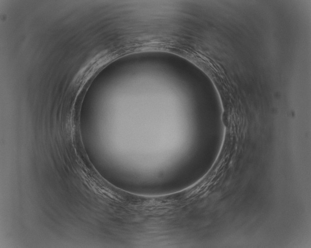 X0000070190290200605301319