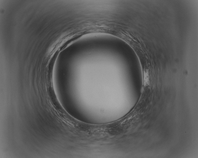 X0000070190291200605301319