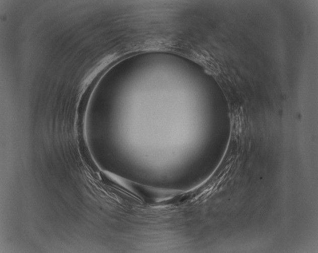 X0000070190292200605301319