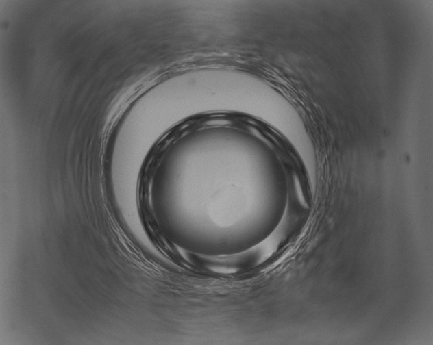 X0000070190293200605301319