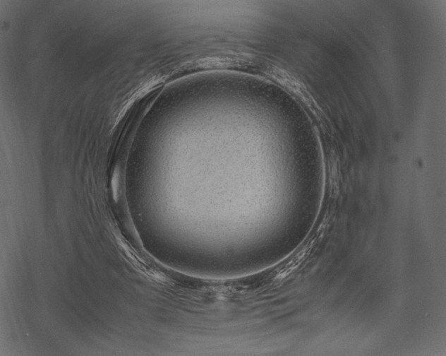 X0000070190297200605301319