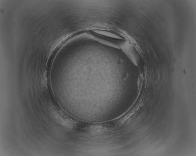 X0000070190298200605301319