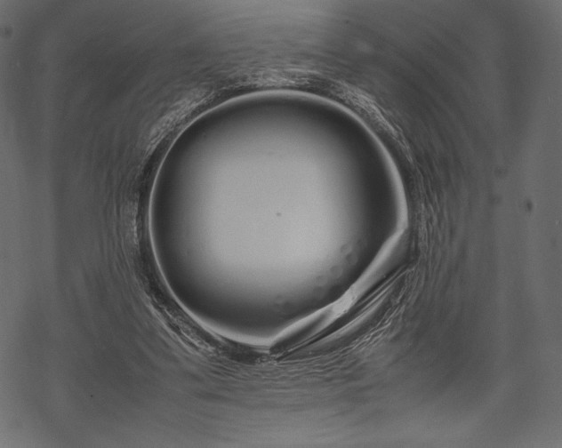 X0000070190299200605301319