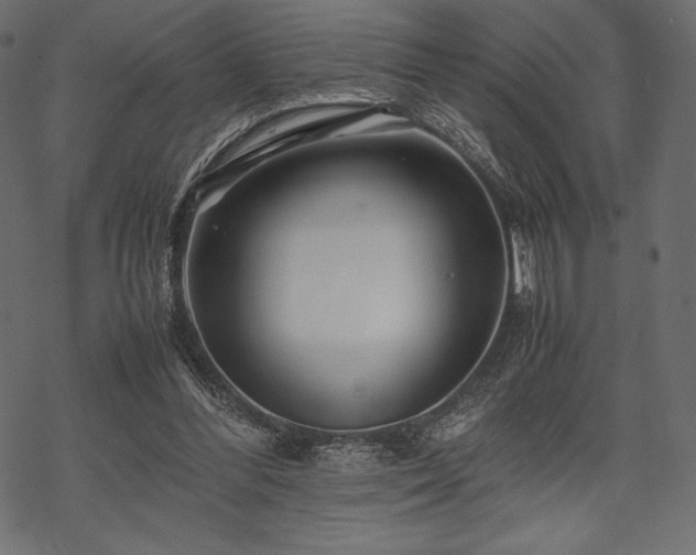 X0000070190300200605301319