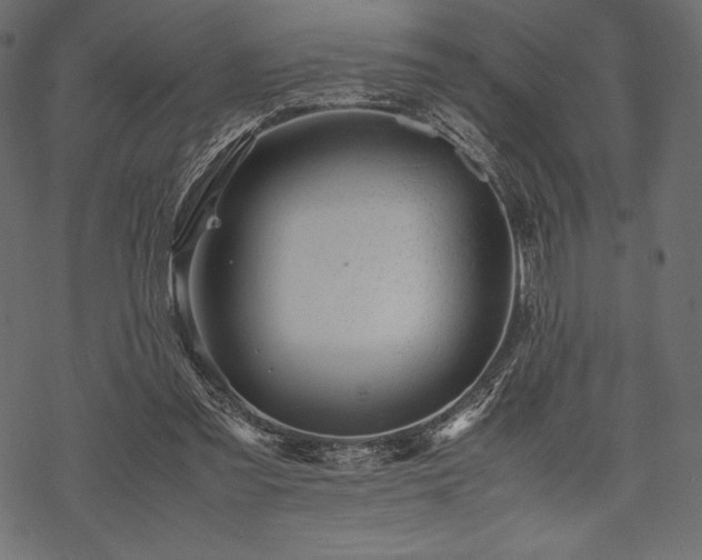 X0000070190301200605301319