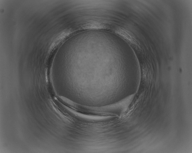 X0000070190302200605301319