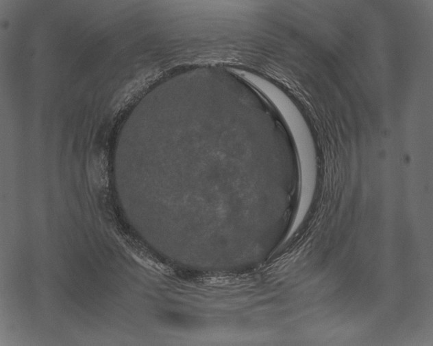 X0000070190303200605301319