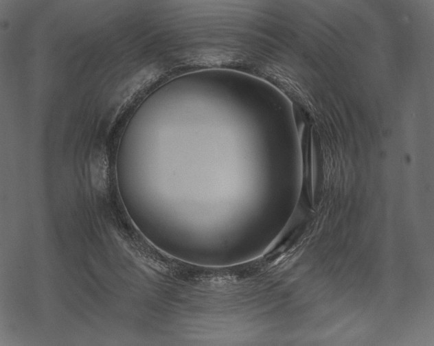 X0000070190304200605301319