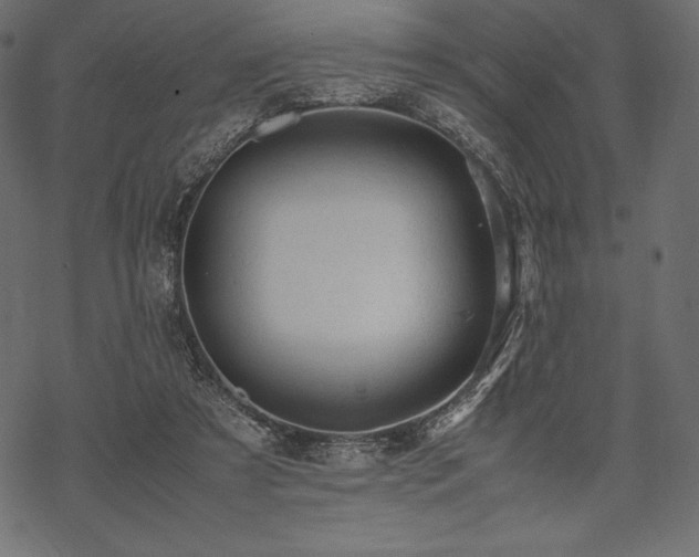 X0000070190305200605301319